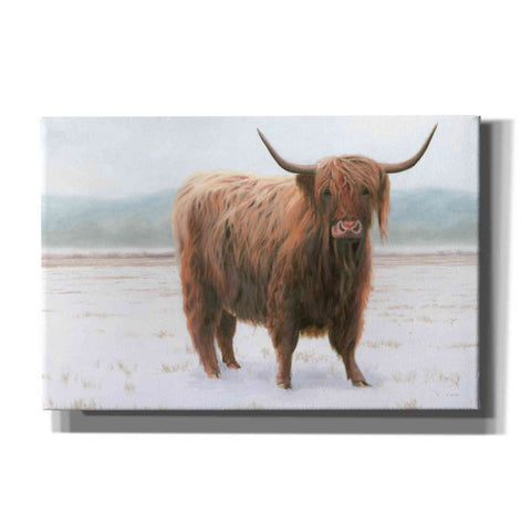 Image of 'King of the Highland Fields' by James Wiens, Canvas Wall Art,18x12x1.1x0,26x18x1.1x0,40x26x1.74x0,60x40x1.74x0