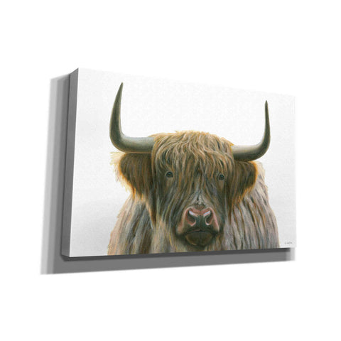 Image of 'Highlander' by James Wiens, Canvas Wall Art,18x12x1.1x0,26x18x1.1x0,40x26x1.74x0,60x40x1.74x0