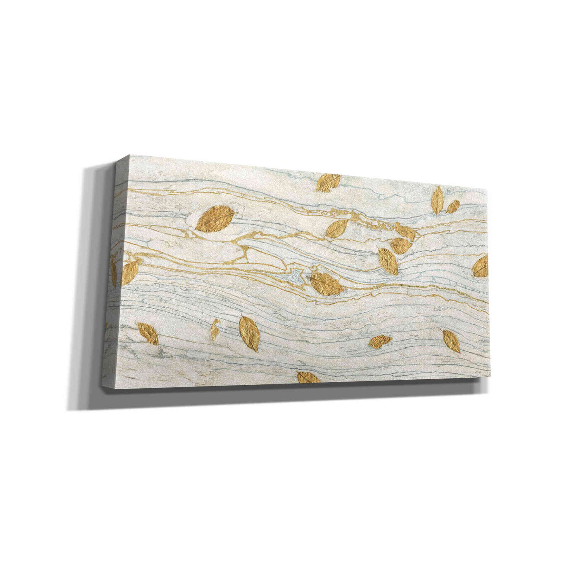 'Golden Fossil Leaves' by James Wiens, Canvas Wall Art,24x12x1.1x0,40x20x1.74x0,60x30x1.74x0