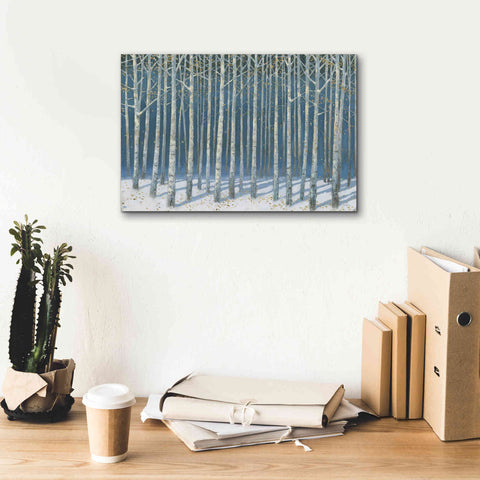 Image of 'Shimmering Birches' by James Wiens, Canvas Wall Art,18 x 12