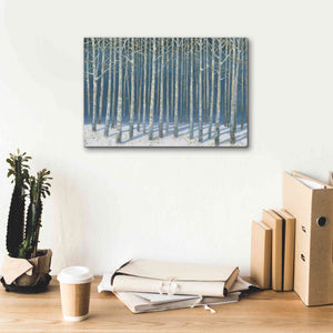 'Shimmering Birches' by James Wiens, Canvas Wall Art,18 x 12