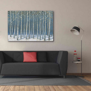'Shimmering Birches' by James Wiens, Canvas Wall Art,60 x 40