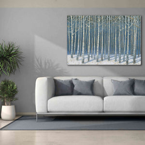 'Shimmering Birches' by James Wiens, Canvas Wall Art,60 x 40
