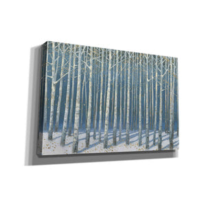 'Shimmering Birches' by James Wiens, Canvas Wall Art,18x12x1.1x0,26x18x1.1x0,40x26x1.74x0,60x40x1.74x0