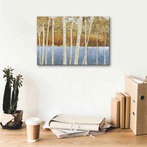 'Lakeside Birches' by James Wiens, Canvas Wall Art,18 x 12