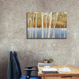 'Lakeside Birches' by James Wiens, Canvas Wall Art,40 x 26