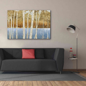 'Lakeside Birches' by James Wiens, Canvas Wall Art,60 x 40