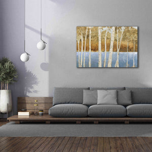'Lakeside Birches' by James Wiens, Canvas Wall Art,60 x 40