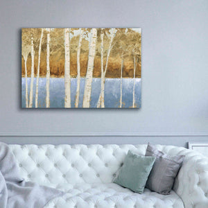 'Lakeside Birches' by James Wiens, Canvas Wall Art,60 x 40