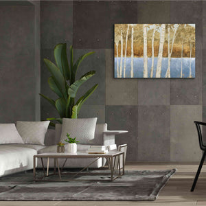 'Lakeside Birches' by James Wiens, Canvas Wall Art,60 x 40