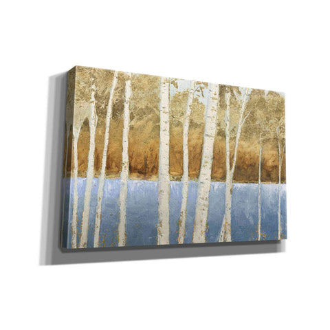 Image of 'Lakeside Birches' by James Wiens, Canvas Wall Art,18x12x1.1x0,26x18x1.1x0,40x26x1.74x0,60x40x1.74x0