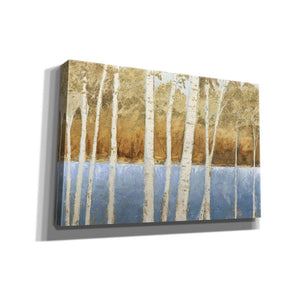 'Lakeside Birches' by James Wiens, Canvas Wall Art,18x12x1.1x0,26x18x1.1x0,40x26x1.74x0,60x40x1.74x0