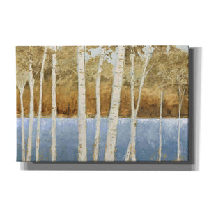 'Lakeside Birches' by James Wiens, Canvas Wall Art,18x12x1.1x0,26x18x1.1x0,40x26x1.74x0,60x40x1.74x0