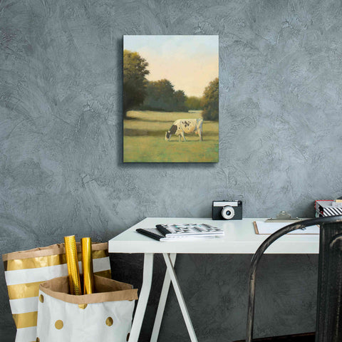Image of 'Morning Meadows I' by James Wiens, Canvas Wall Art,12 x 16