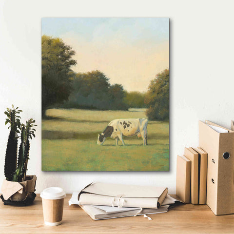 Image of 'Morning Meadows I' by James Wiens, Canvas Wall Art,20 x 24