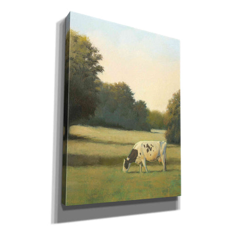 Image of 'Morning Meadows I' by James Wiens, Canvas Wall Art,12x16x1.1x0,20x24x1.1x0,26x30x1.74x0,40x54x1.74x0