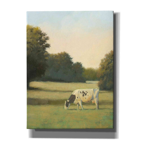 Image of 'Morning Meadows I' by James Wiens, Canvas Wall Art,12x16x1.1x0,20x24x1.1x0,26x30x1.74x0,40x54x1.74x0