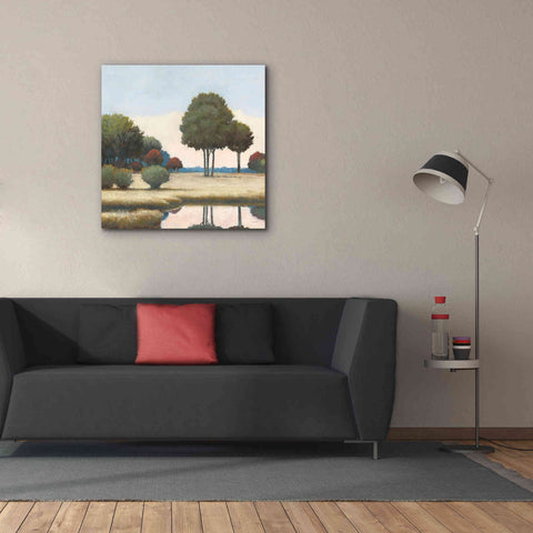 Image of 'By the Waterways II' by James Wiens, Canvas Wall Art,37 x 37