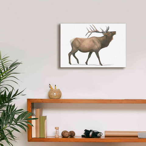 Image of 'Northern Wild III' by James Wiens, Canvas Wall Art,18 x 12