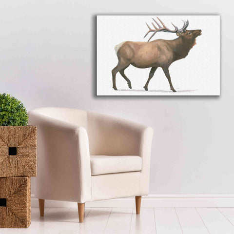Image of 'Northern Wild III' by James Wiens, Canvas Wall Art,40 x 26