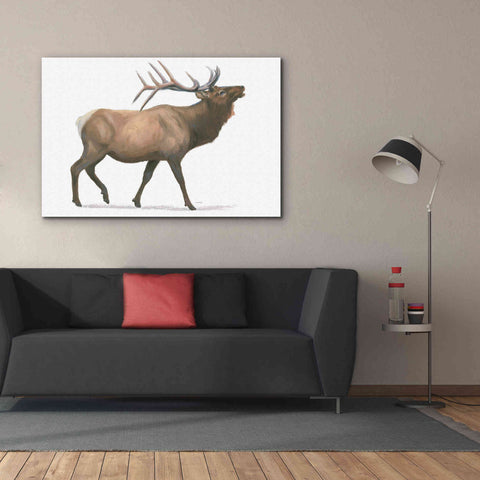 Image of 'Northern Wild III' by James Wiens, Canvas Wall Art,60 x 40