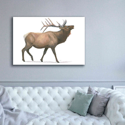 Image of 'Northern Wild III' by James Wiens, Canvas Wall Art,60 x 40