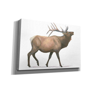 'Northern Wild III' by James Wiens, Canvas Wall Art,18x12x1.1x0,26x18x1.1x0,40x26x1.74x0,60x40x1.74x0