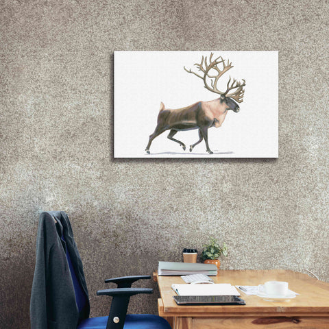 Image of 'Northern Wild IV' by James Wiens, Canvas Wall Art,40 x 26