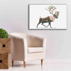 'Northern Wild IV' by James Wiens, Canvas Wall Art,40 x 26