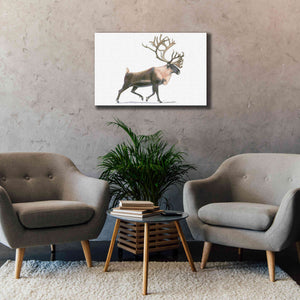 'Northern Wild IV' by James Wiens, Canvas Wall Art,40 x 26