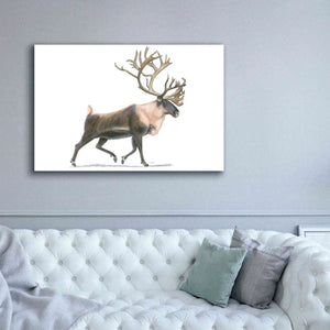 'Northern Wild IV' by James Wiens, Canvas Wall Art,60 x 40