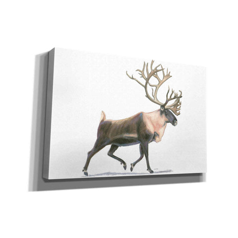 Image of 'Northern Wild IV' by James Wiens, Canvas Wall Art,18x12x1.1x0,26x18x1.1x0,40x26x1.74x0,60x40x1.74x0