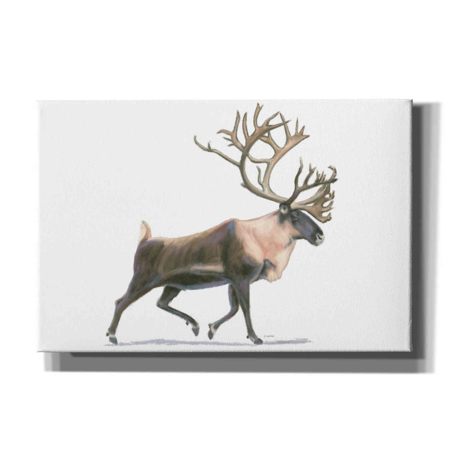 'Northern Wild IV' by James Wiens, Canvas Wall Art,18x12x1.1x0,26x18x1.1x0,40x26x1.74x0,60x40x1.74x0