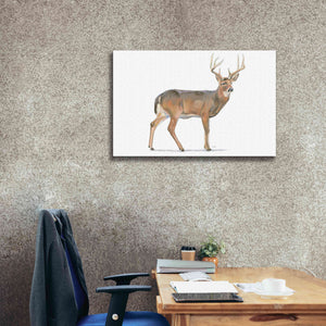 'Northern Wild V' by James Wiens, Canvas Wall Art,40 x 26