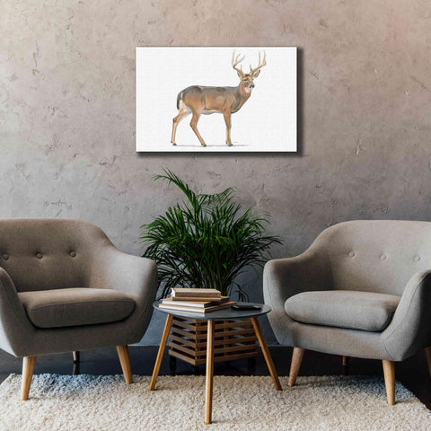 Image of 'Northern Wild V' by James Wiens, Canvas Wall Art,40 x 26