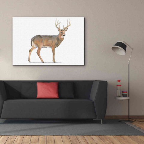 Image of 'Northern Wild V' by James Wiens, Canvas Wall Art,60 x 40
