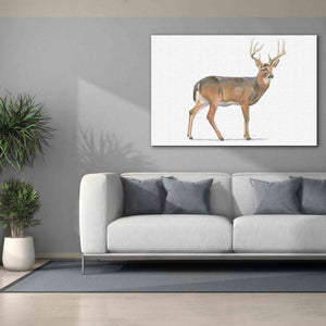 'Northern Wild V' by James Wiens, Canvas Wall Art,60 x 40