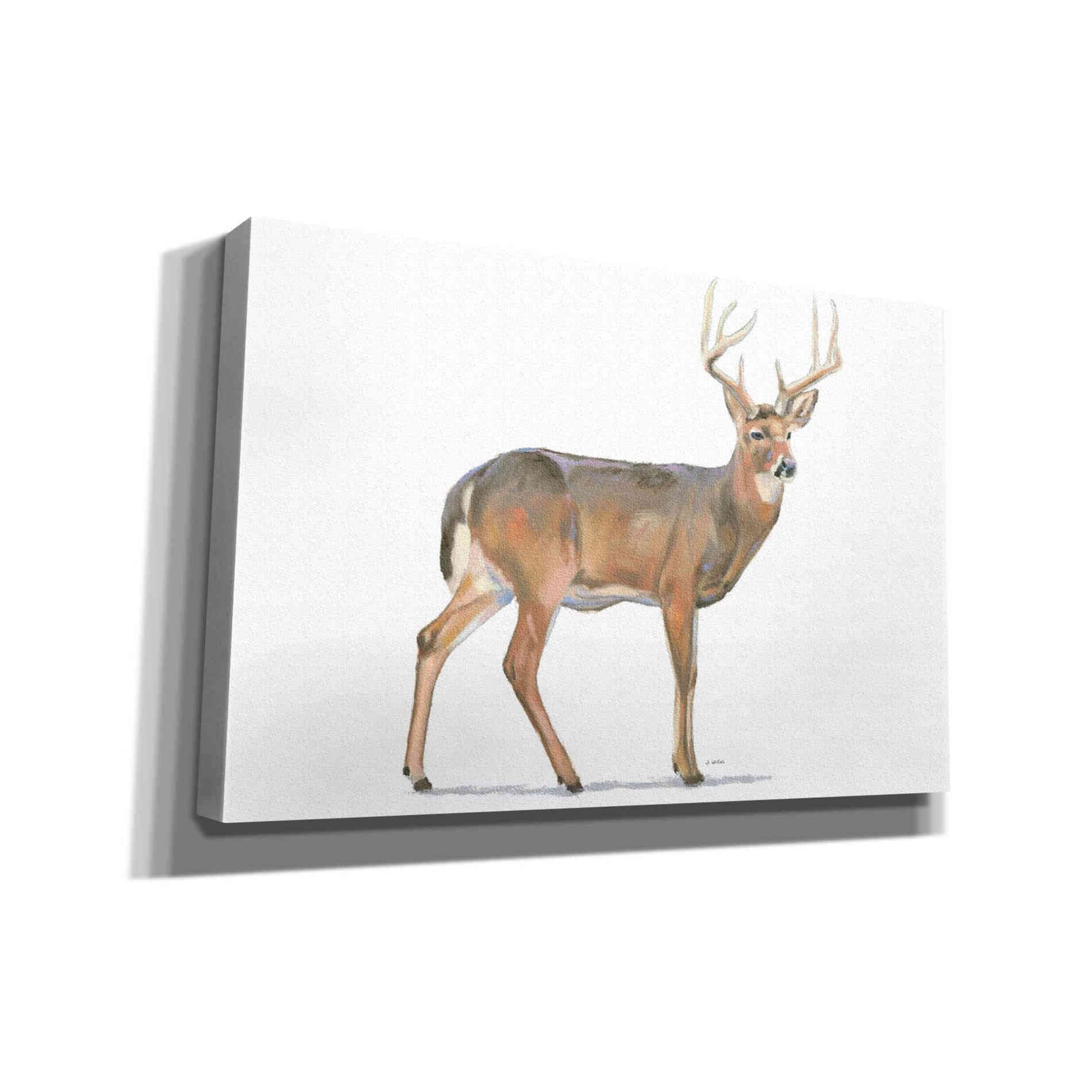'Northern Wild V' by James Wiens, Canvas Wall Art,18x12x1.1x0,26x18x1.1x0,40x26x1.74x0,60x40x1.74x0