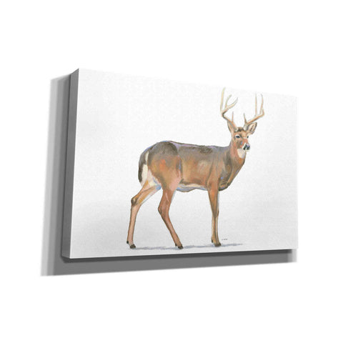 Image of 'Northern Wild V' by James Wiens, Canvas Wall Art,18x12x1.1x0,26x18x1.1x0,40x26x1.74x0,60x40x1.74x0