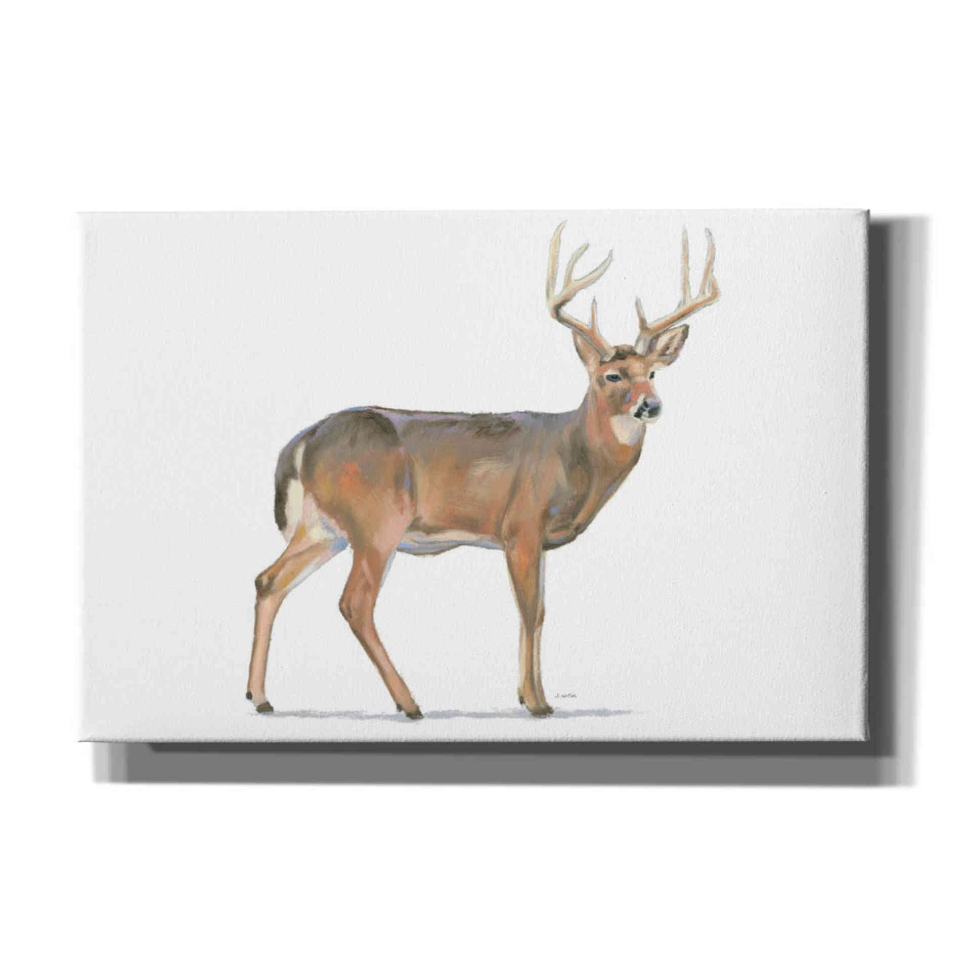 'Northern Wild V' by James Wiens, Canvas Wall Art,18x12x1.1x0,26x18x1.1x0,40x26x1.74x0,60x40x1.74x0