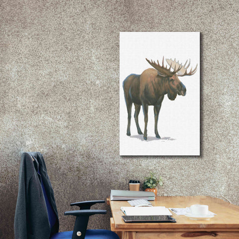 Image of 'Northern Wild VI' by James Wiens, Canvas Wall Art,26 x 40