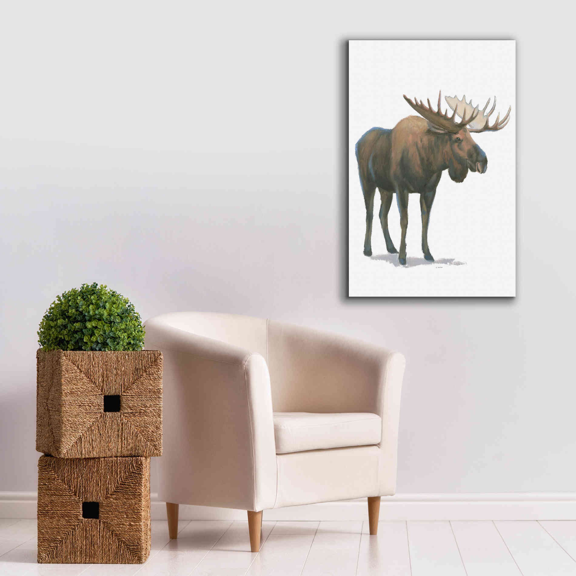 'Northern Wild VI' by James Wiens, Canvas Wall Art,26 x 40