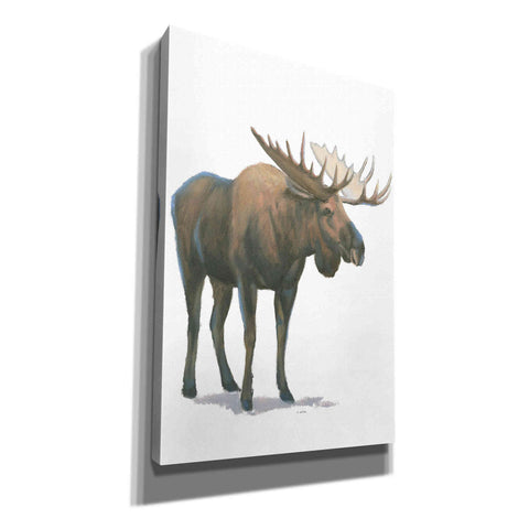 Image of 'Northern Wild VI' by James Wiens, Canvas Wall Art,12x18x1.1x0,18x26x1.1x0,26x40x1.74x0,40x60x1.74x0