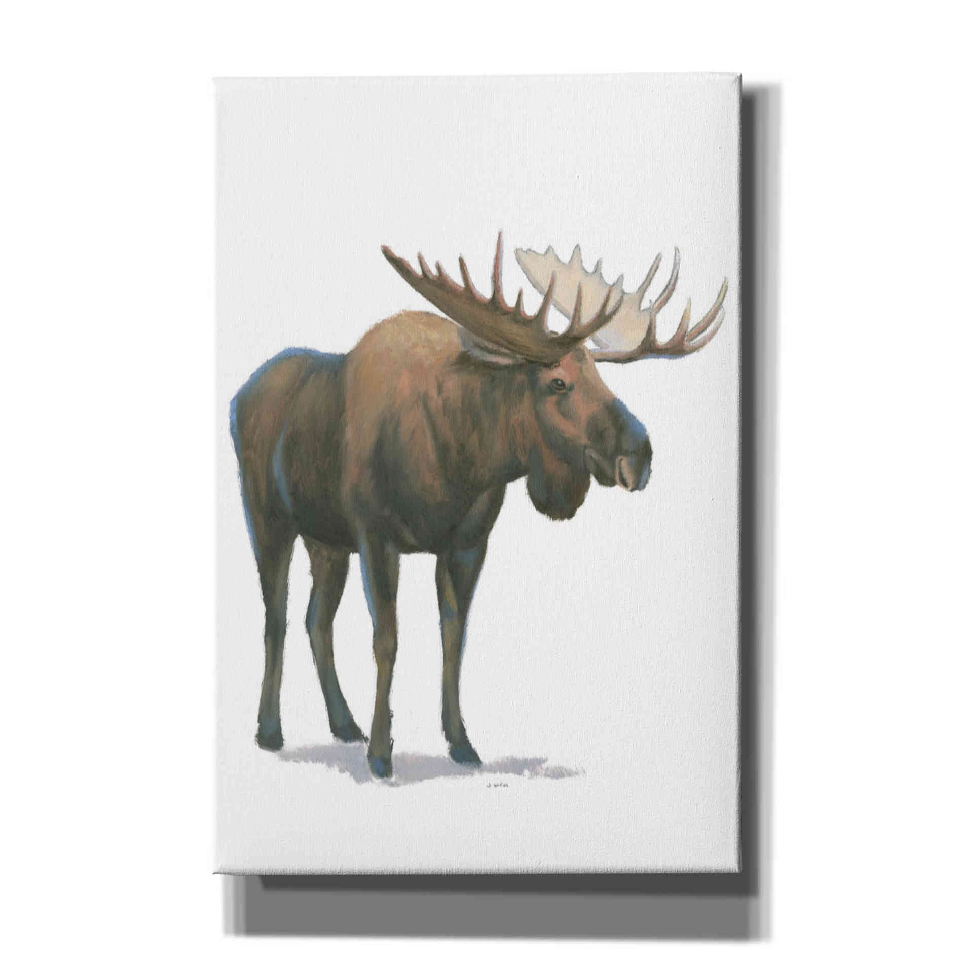 'Northern Wild VI' by James Wiens, Canvas Wall Art,12x18x1.1x0,18x26x1.1x0,26x40x1.74x0,40x60x1.74x0