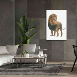 'Wild and Free I' by James Wiens, Canvas Wall Art,40 x 60