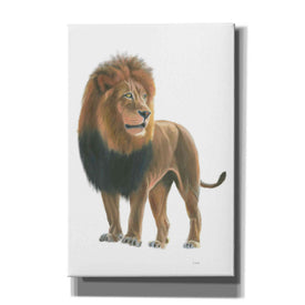 'Wild and Free I' by James Wiens, Canvas Wall Art,12x18x1.1x0,18x26x1.1x0,26x40x1.74x0,40x60x1.74x0