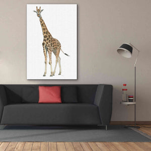 'Wild and Free V' by James Wiens, Canvas Wall Art,40 x 60