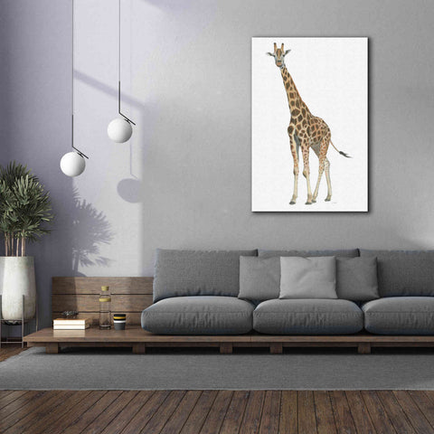 Image of 'Wild and Free V' by James Wiens, Canvas Wall Art,40 x 60
