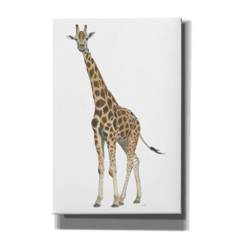 Image of 'Wild and Free V' by James Wiens, Canvas Wall Art,12x18x1.1x0,18x26x1.1x0,26x40x1.74x0,40x60x1.74x0