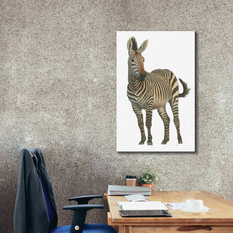 Image of 'Wild and Free VI' by James Wiens, Canvas Wall Art,26 x 40